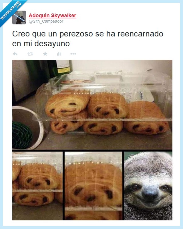 perezoso,desayuno,troll,caras,napolitana,pasta