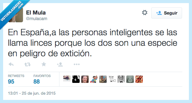 españa,lince,inteligente,persona,peligro,extincion,pocos,tontos,listos,país de pandereta