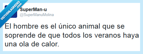 ola de calor,verano,hombre,animal,único,sorpresa