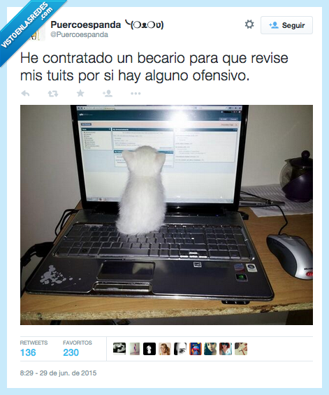 contratar,contratado,becario,revise,tuits,alguno,ofensivo,cuidadito,gatito,ley mordaza