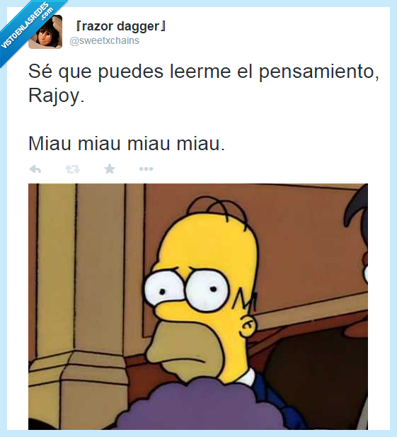 Ley Mordaza,Rajoy,PP,Los Simpson,Homer,Miau,leer,mente