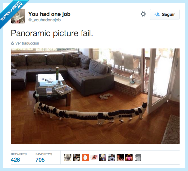 panoramic,picture,fail,panorámica,foto,gato,ciempiés,largo,mal rollito