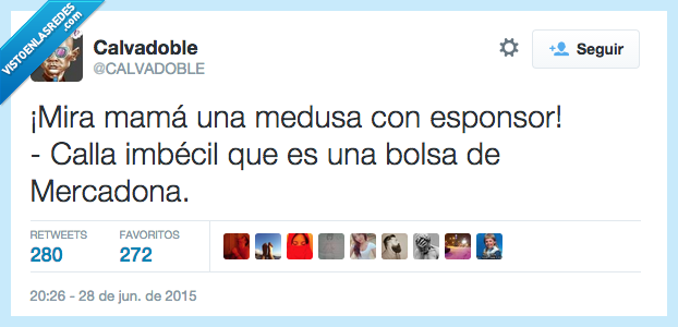 mama,bolsa,mercadona,medusa,tonto