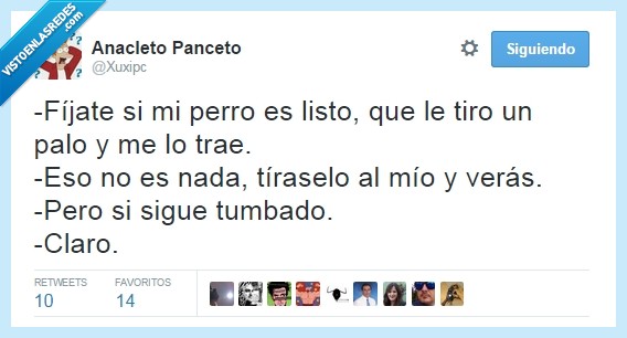 perro,listo,traer,tirar,palo,tumbado,ignorar,cómodo,trae