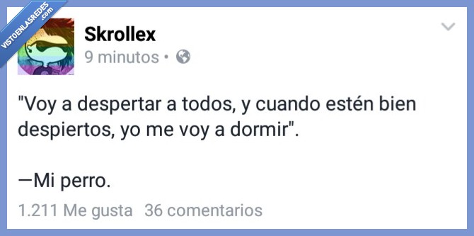 perro,despertar,molestar,dormir,dormido,despierto