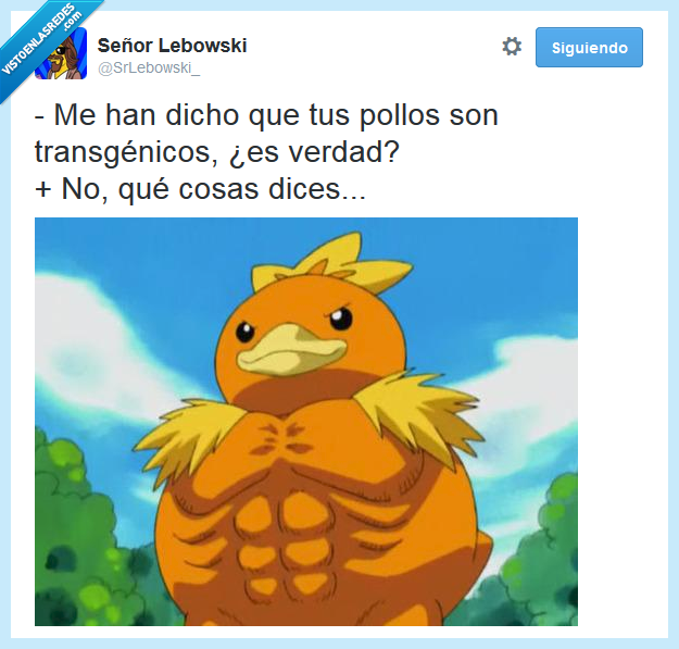 pollos,twitter,transgenicos,fuerte,pokemon,abdominales,músculo