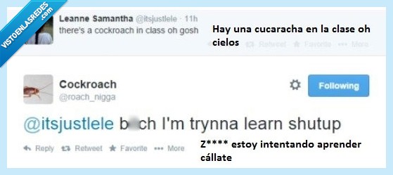 cucaracha,escuela,asco,shut up,Twitter,aprender,callate
