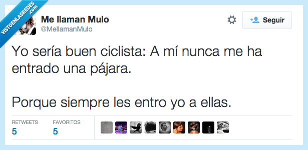 buen,ciclista,entrar,pajara,yo,ligar