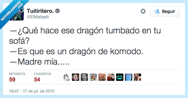 qué,hacer,dragón,tumbado,sofá,komodo,madre mía