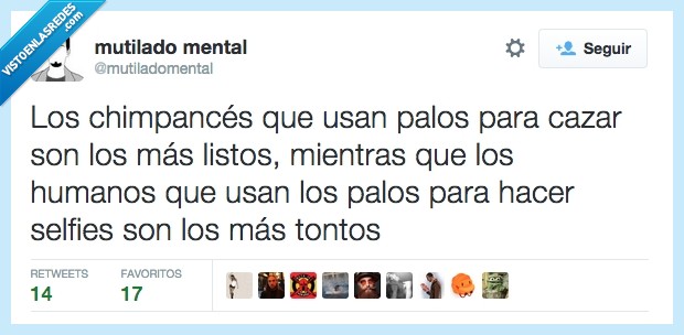 palo,mono,chimpance,humano,tonto,listo,selfie