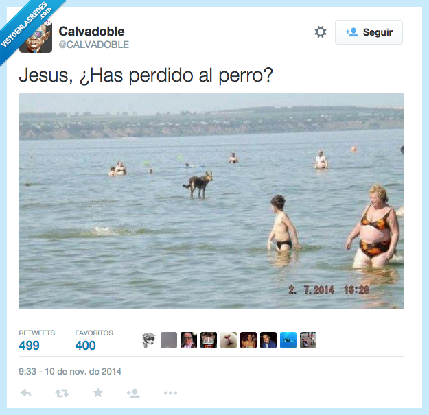Jesús,perro,caminar,aguas,milagro,fiel,amigo