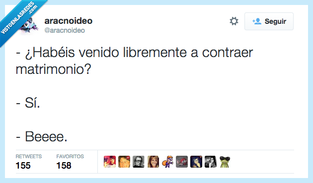 venido,libremente,matrimonio,boda,oveja,beee,balar