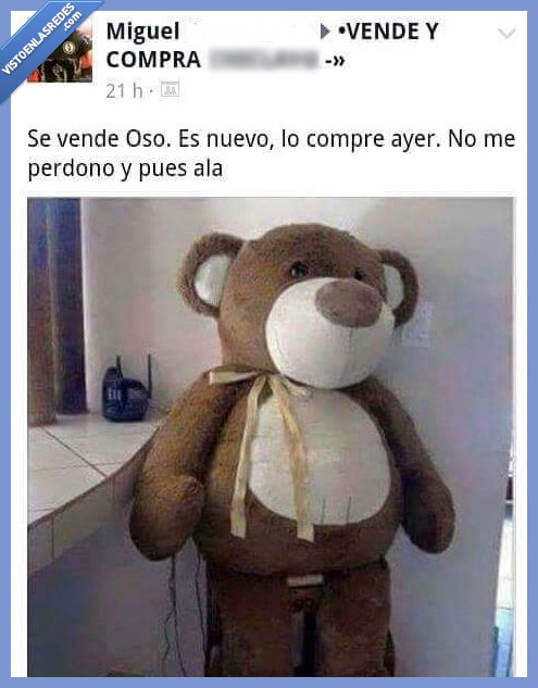 oso,perdono,perdonar,amor,comprar,peluche,grande,novio,novia