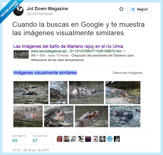 Rajoy,hipopótamo,baño,bañar,rio,Umia,google,imagenes,similares