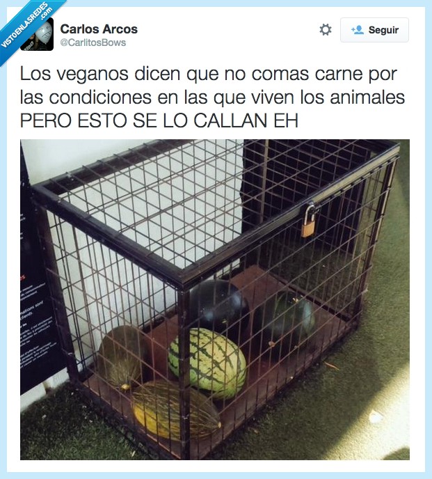 vegano,vegetariano,comida,condiciones,sandia,melon,fruta,animal,carne