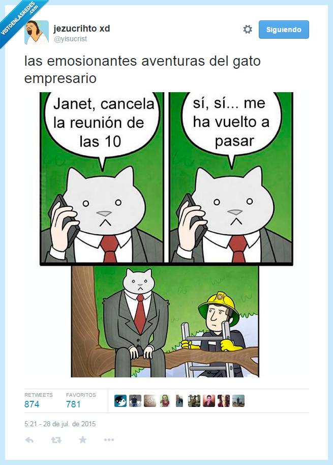 gato,bomberos,rescatar,cancelar,reunion,árbol,empresario,cancelado