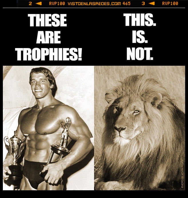 trofeo,premio,leon,Cecil,joven