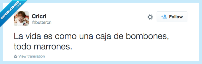 bombones,caja,marrones,vida,lección