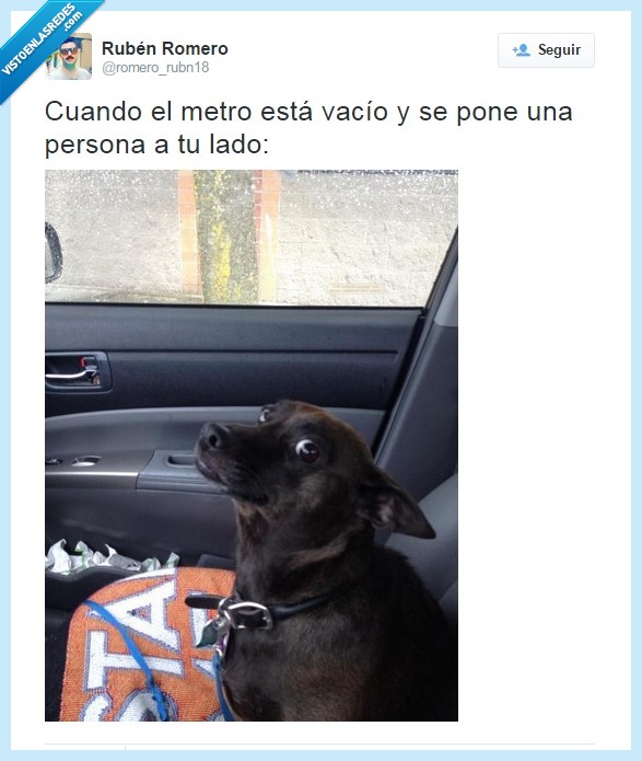 metro,perro,persona,LOL