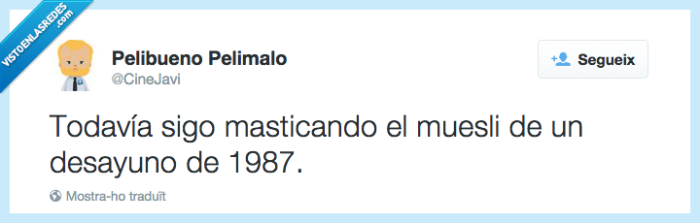 muestli,desayuno,cartón,comer,cereales