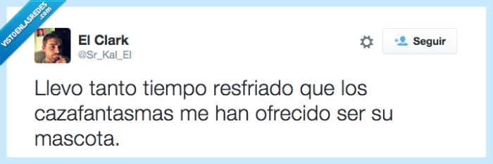 frío,resfriado,cazafantasmas,moco,mascota