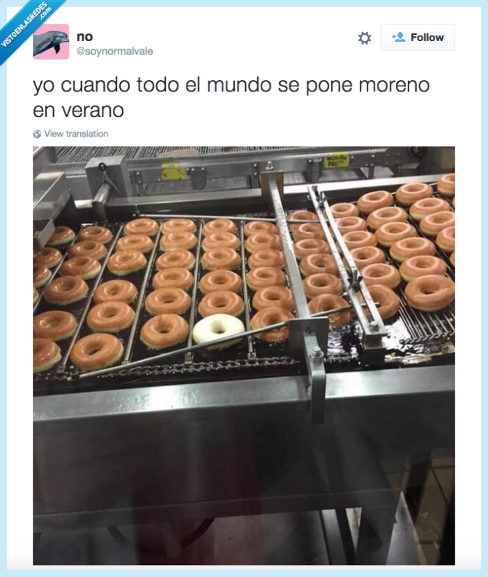 donuts,moreno,sol,verano,blanco