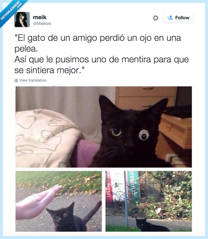 vista,ojo,mentira,sintiese mejor,gato,amor