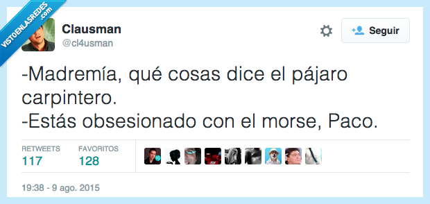 madre mía,cosas,decir,pájaro carpintero,obsesión,Morse