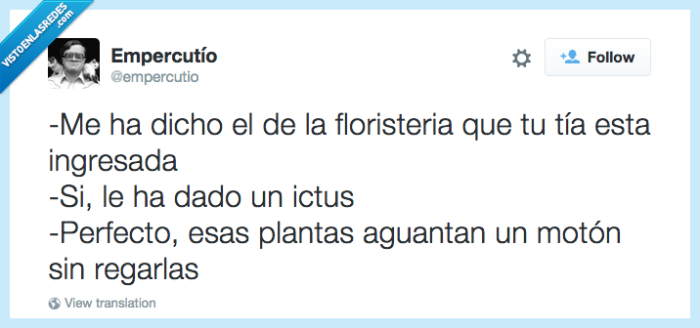 floristería,ictus,planta,tía