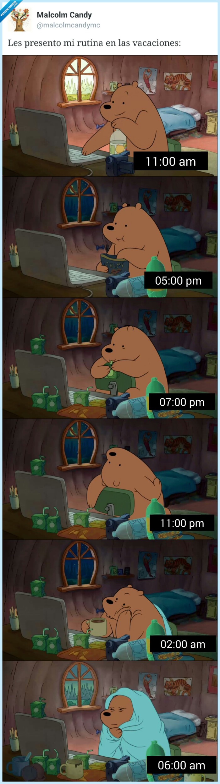 rutina,ordenador,oso,habitación