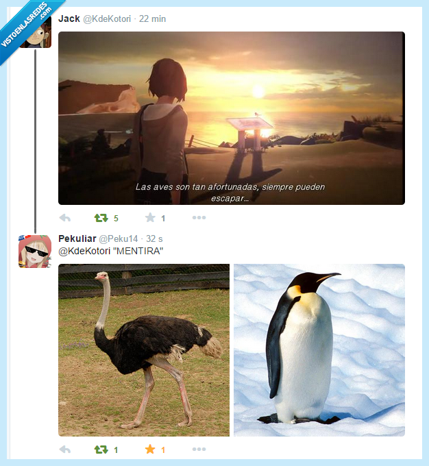 Life is Strange,Aves,Gracioso,pingüino,avestruz