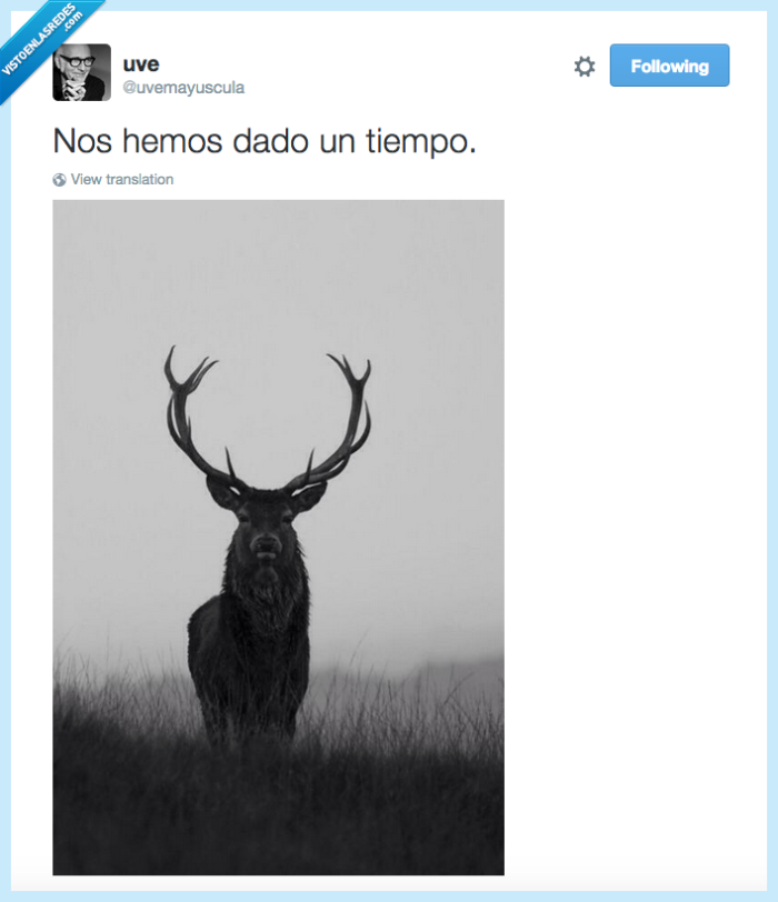 cuernos,pareja,erasmus,amor,fail