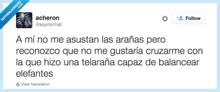 araña,telaraña,balancear,elefantes,canción