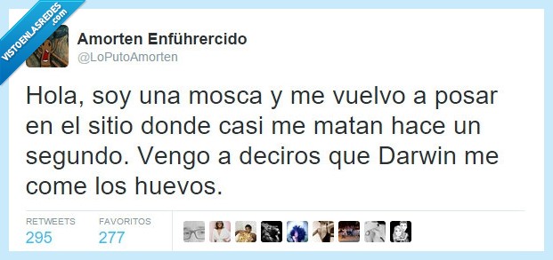 mosca,posar,sitio,matar,casi,volver,seleccion,natural,darwin,comer