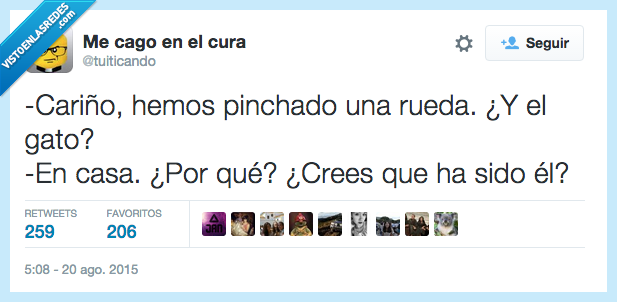 pinchado,pinchar,gato,coche,casa,sido,culpable