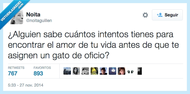 cuantos,intentos,encontrar,amor,soltera,sola,vida,antes,gato,oficio,abogado