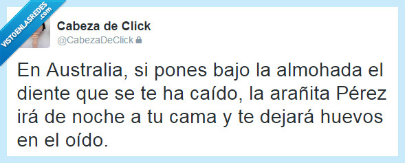 Australia,diente,araña,ratoncito,Pérez,huevos,oido,dejar,salvaje
