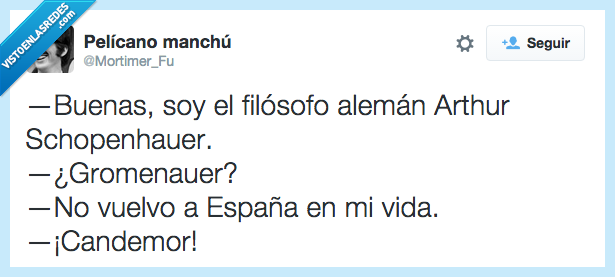 filosofo,Arthur Schopenhauer,Gromenauer,España,aleman,condemor,Chiquito
