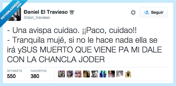 avispa,cuidao,picar,nada,hace,chancla,dale,chancla letal,matar
