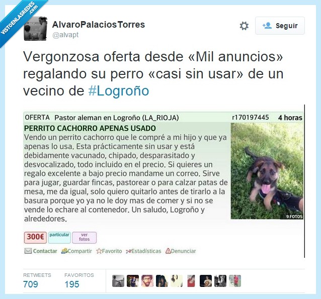 perro,casi,usar,nuevo,cachorro,vender,Logroño,vecino,calzar,patas,mesa