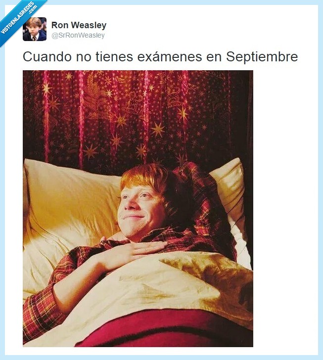 tranquilidad,respirar,Ron Weasley,examen,septiembre,recuperación,estudiar