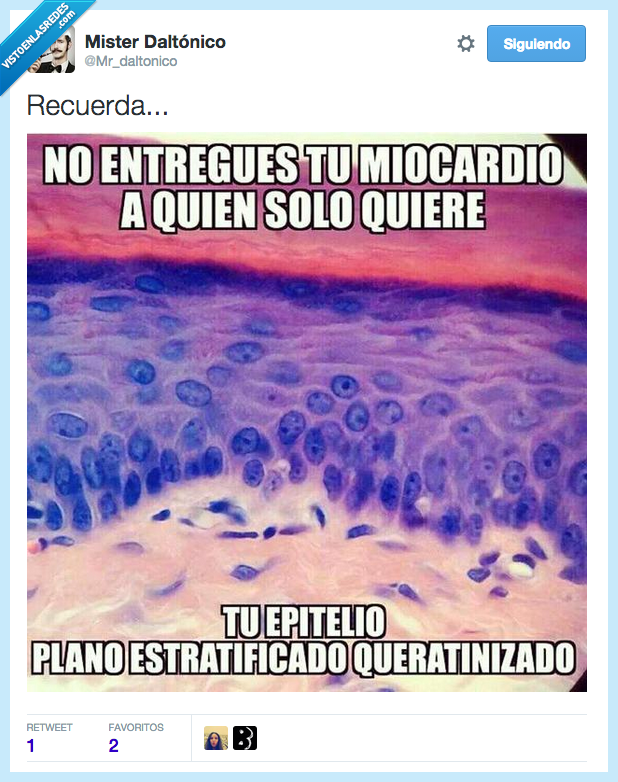 corazon,dar,amor,ciencia,complejo,cientifico,lenguaje