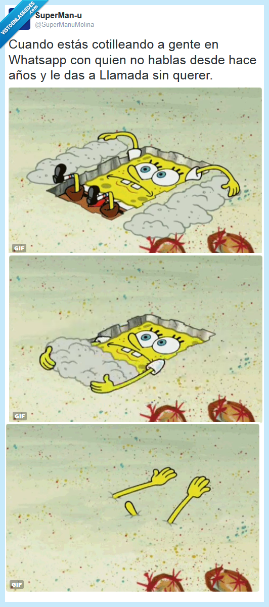 bob esponja,whatsapp,cotillear,llamada,vergüenza,años,sin hablar,llamar,error