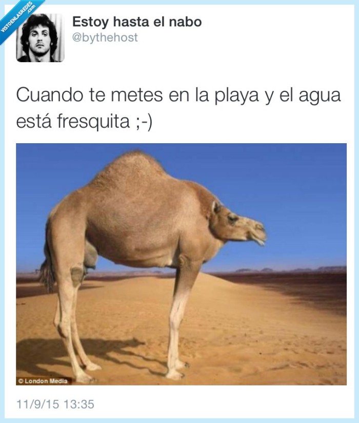 agua fresquita,playa,camello,cuello,chepa