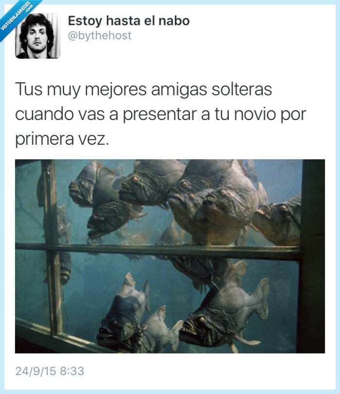 nuevo,novio,mejor,amiga,piraña,cazar,novia,pareja,harpías