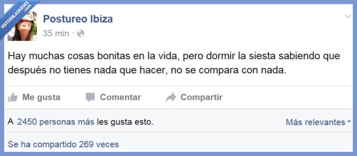 426052 - Bendita siesta