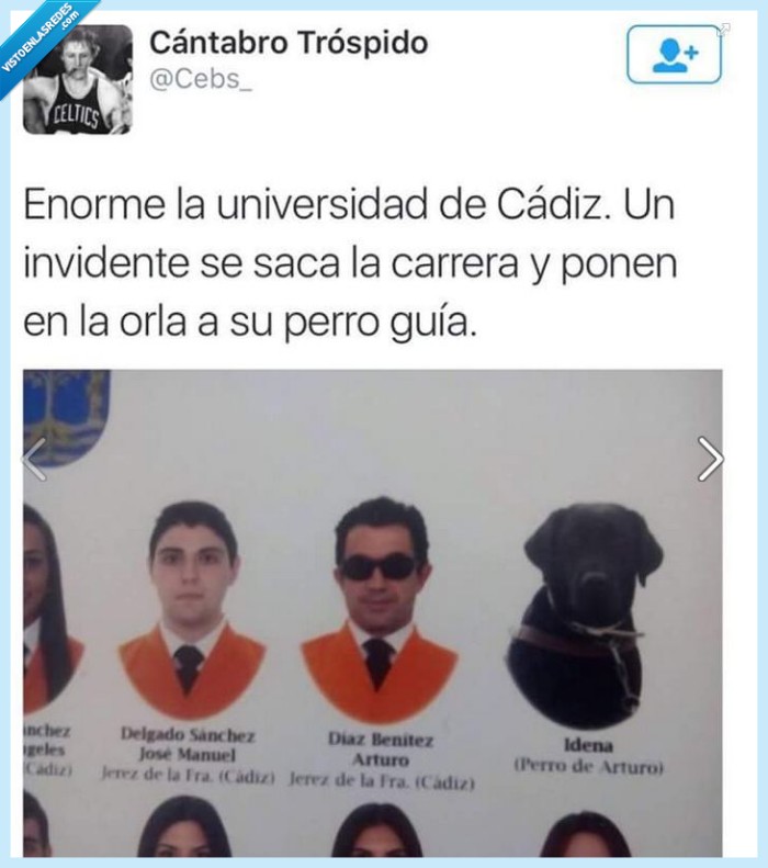 perro,grande,universidad,invidente,titulación,lazarillo,Idena