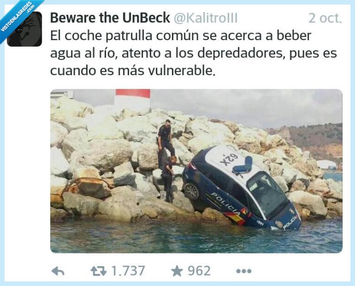 Coche,policia,beber,arroyo,documental,patrulla,comun