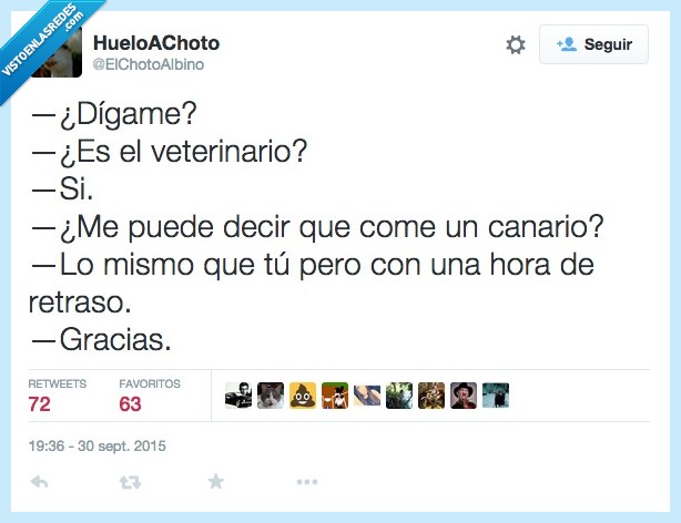 digame,veterinario,comer,canario,comida,mismo,hora,retraso,hora menos,Canarias