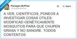 Enlace a Mosquitos modificados, mejor que los zombies... Por @FlanaganMcPhee